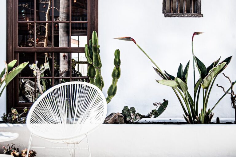 Cum să dezvolți o strategie de prețuri care să atragă clienți premium