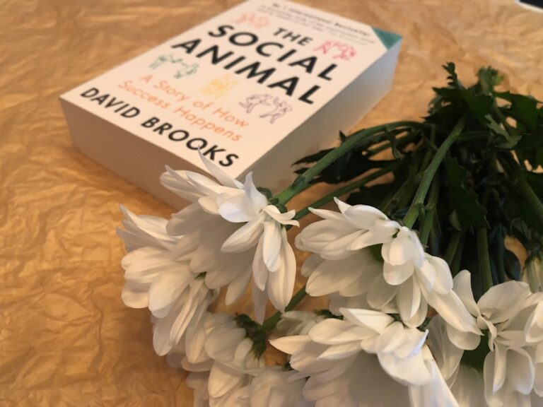 Cum să îți îmbunătățești viața socială și să întâlnești oameni noi