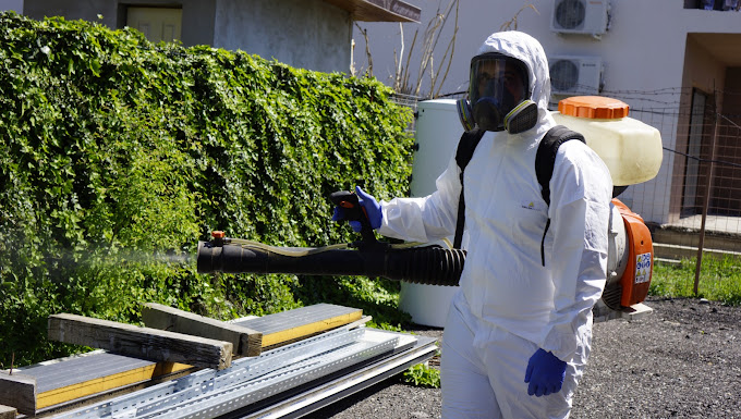 Alegerea unei firme DDD autorizate: ghid pentru administratori