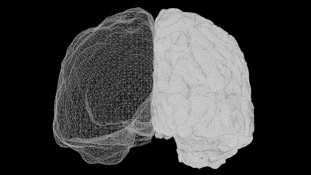 Photo brain under stress