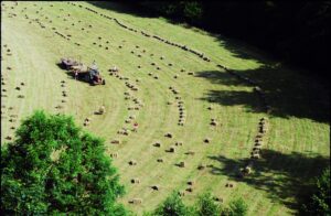 Seminte pentru Viticultura si Pomicultura de la ALDEMO – Sanatatea Solului din Plantatie