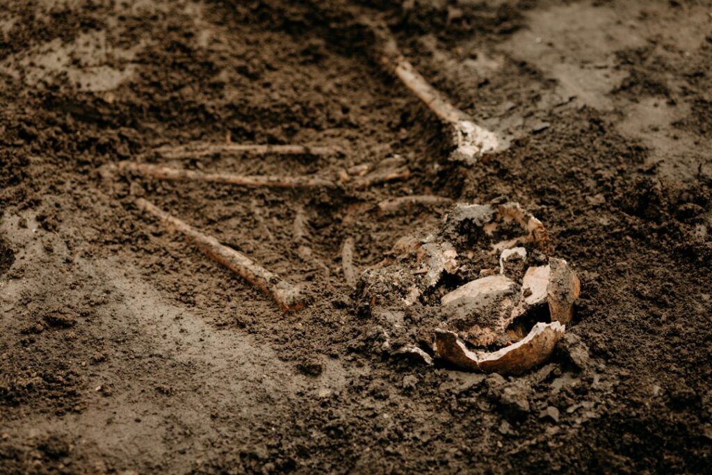 Cele mai mari descoperiri arheologice care au rescris istoria