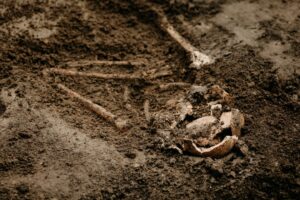 Cele mai mari descoperiri arheologice care au rescris istoria