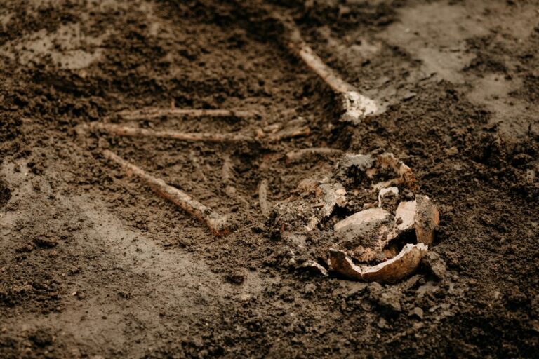 Cele mai mari descoperiri arheologice care au rescris istoria