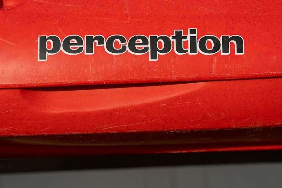 perception