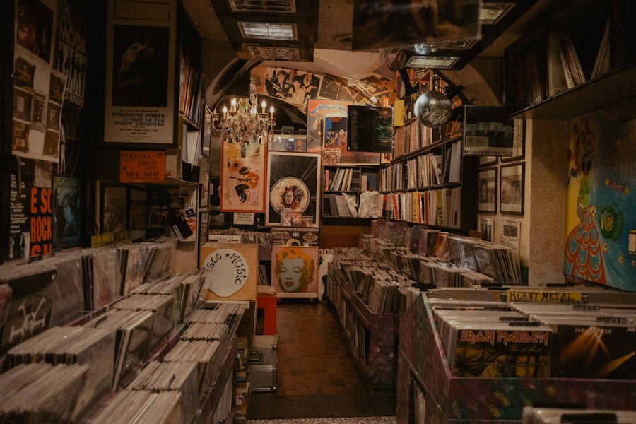 vinyl music collector