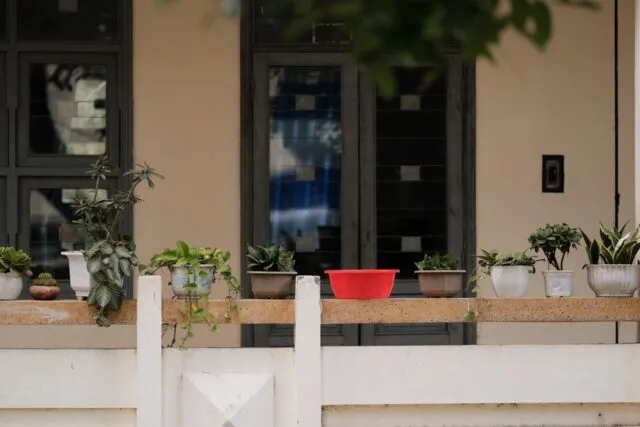 Ghivece cu plante așezate pe un balcon în lumina de toamnă