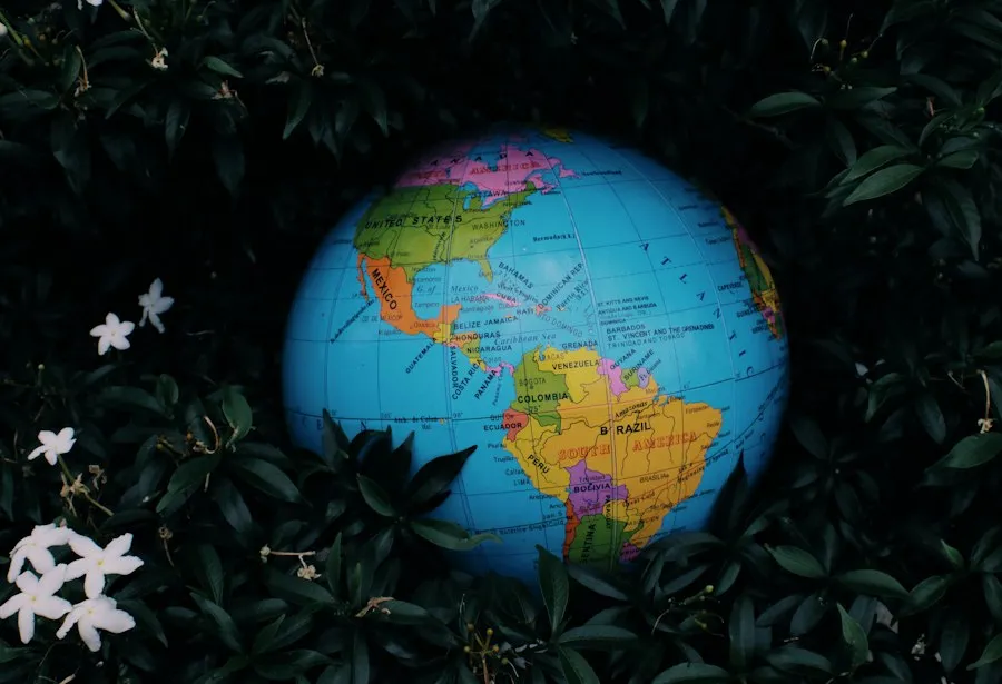 common misconceptions about world fun facts